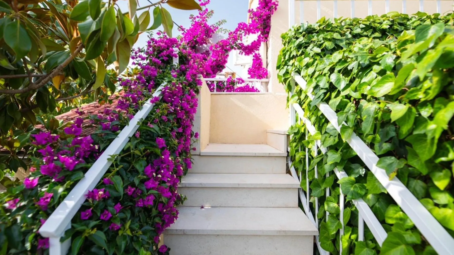 Apartments Neli Trogir